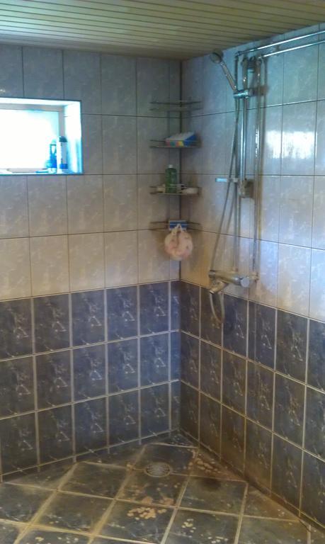 Ferienhaus Aratsaare *